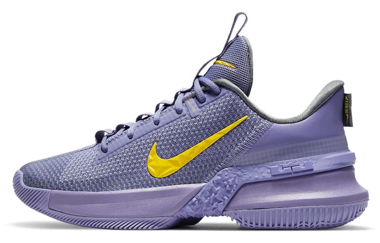 LEBRON AMBASSADOR 13 LAKERS