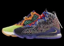 LEBRON 17 WHAT THE