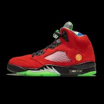 AIR JORDAN 5 WHAT THE