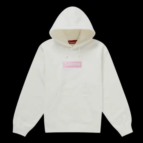 SUPREME FW24 BOX LOGO HOODED SWEATSHIRT SWEATSHIRT STONE | AREA 02