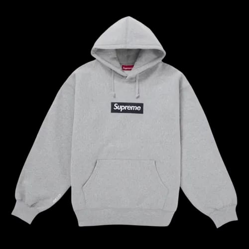SUPREME BOX LOGO HOODED SWEATSHIRT (FW25) WHITE | AREA 02 — Asia's