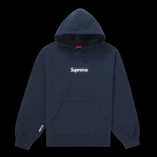 SUPREME FW24 BOX LOGO HOODED SWEATSHIRT SWEATSHIRT STONE | AREA 02