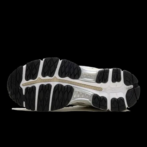 ronnie fieg asics gel kayano 5