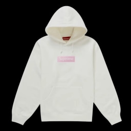 SUPREME BOX LOGO HOODED SWEATSHIRT (FW25) WHITE | AREA 02 — Asia's